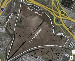 Figure 3. Map of Upper Penhorn Marsh study area in the Hackensack Meadowlands, New Jersey. �X' marks the approximate location of the largest frog chorus at the intersection of the central channel and a smaller side channel. Boundaries of area surveyed for calling frogs are shown in white.